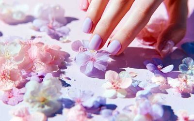 Beauty Supply Store in Burbank